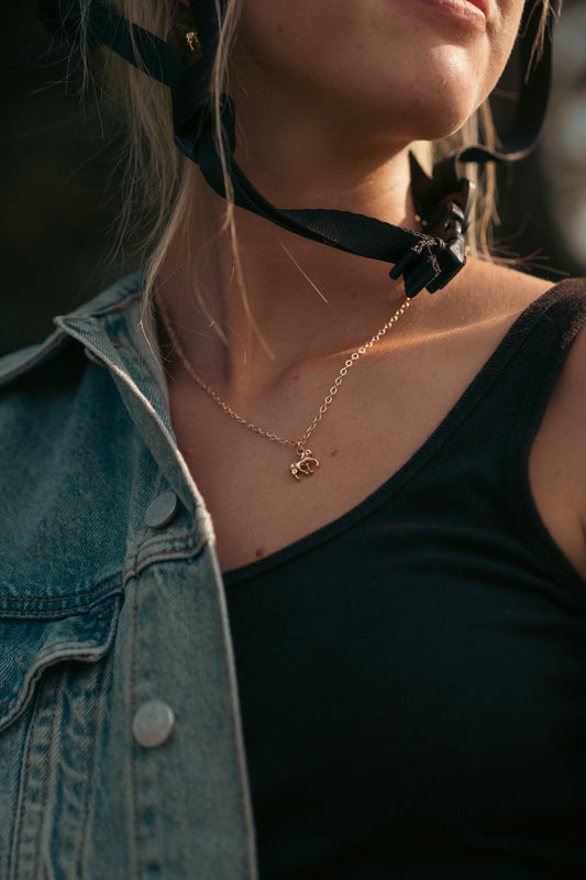 Golden Pony Necklace